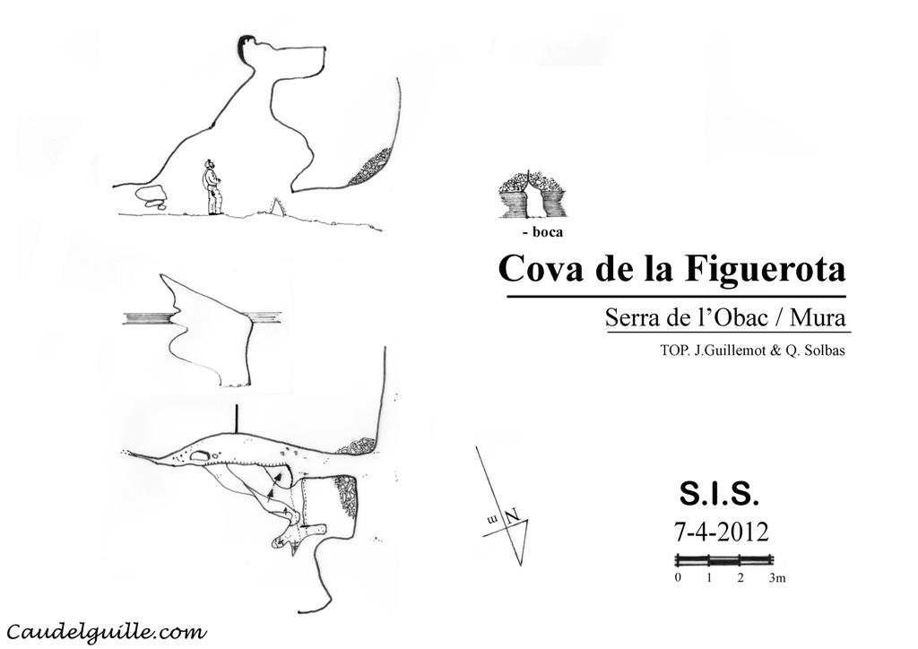 figuerota cova large